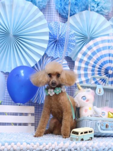 20231129リールちゃん